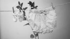 Guillaume CACHEUX - CACHPROD