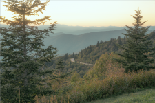 Franck BOHBOT - FB Studio