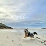 Sabine ZAHNER - L'EFFET POP !