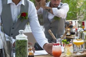 Elisabeth ROSSOLIN - Elisabeth Rossolin